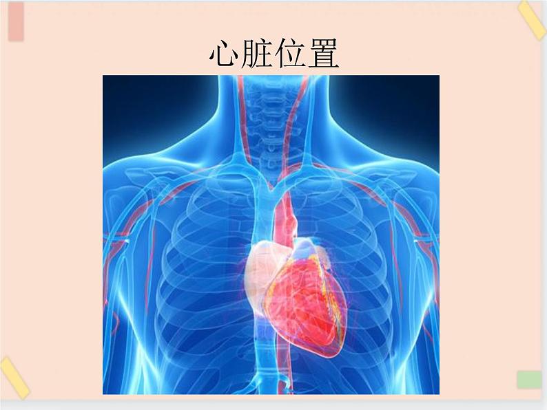 四年级上册科学课件-4.18  运动前后｜鄂教版 (共18张PPT)06