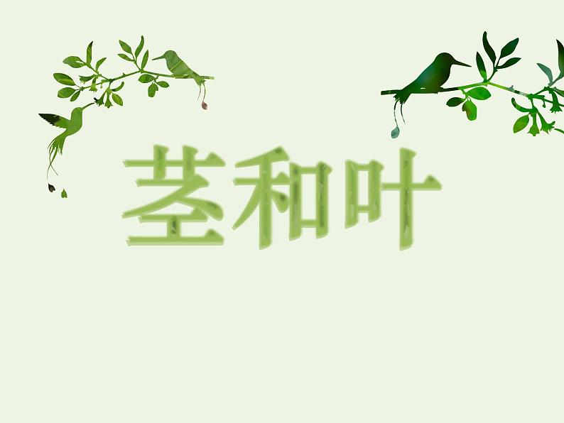 教科版四年级下册1-4《茎和叶》课件01