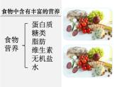 教科版四年级上册2-5《食物中的营养》 课件