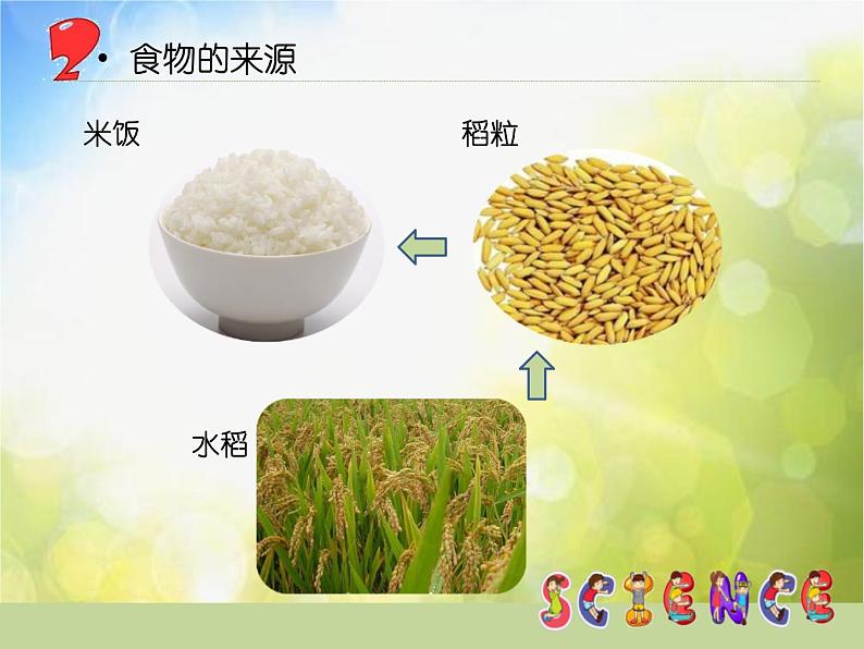 2022鄂教版科学三年级上册第3课《食物从哪里来》ppt课件第6页