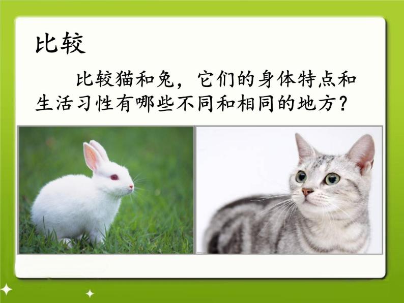 2022鄂教版科学三年级上册第22课《兔与猫》ppt课件_108