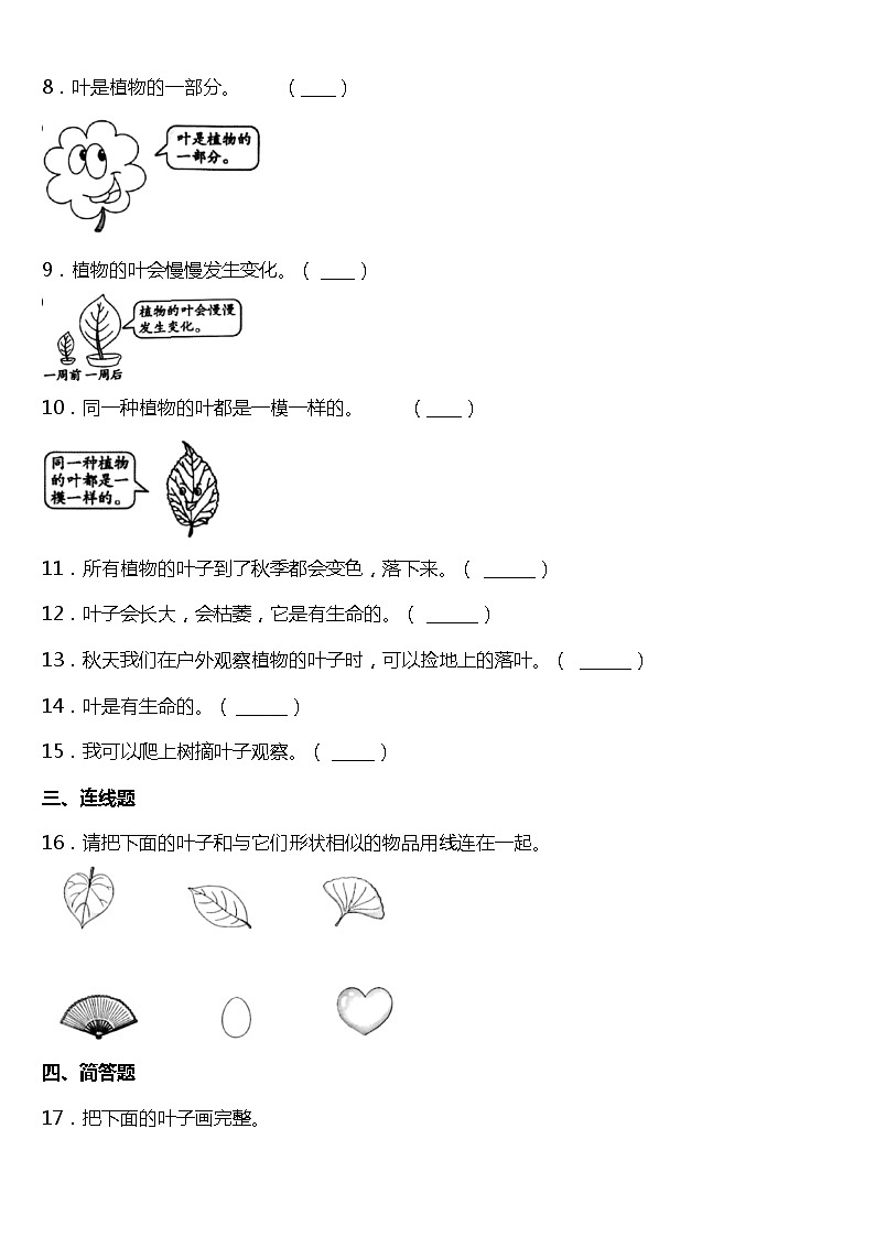 1.3《观察叶》同步练习题（含答案）02