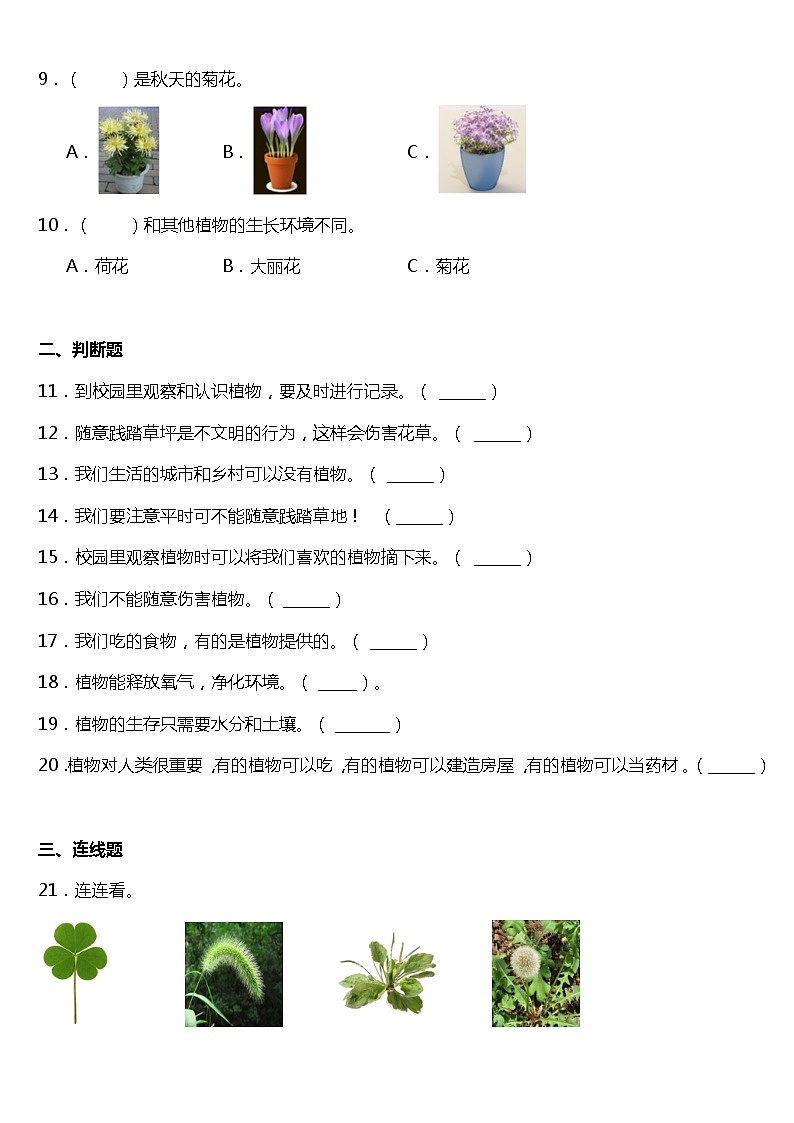 1.6《校园里的植物》同步练习题（含答案）02