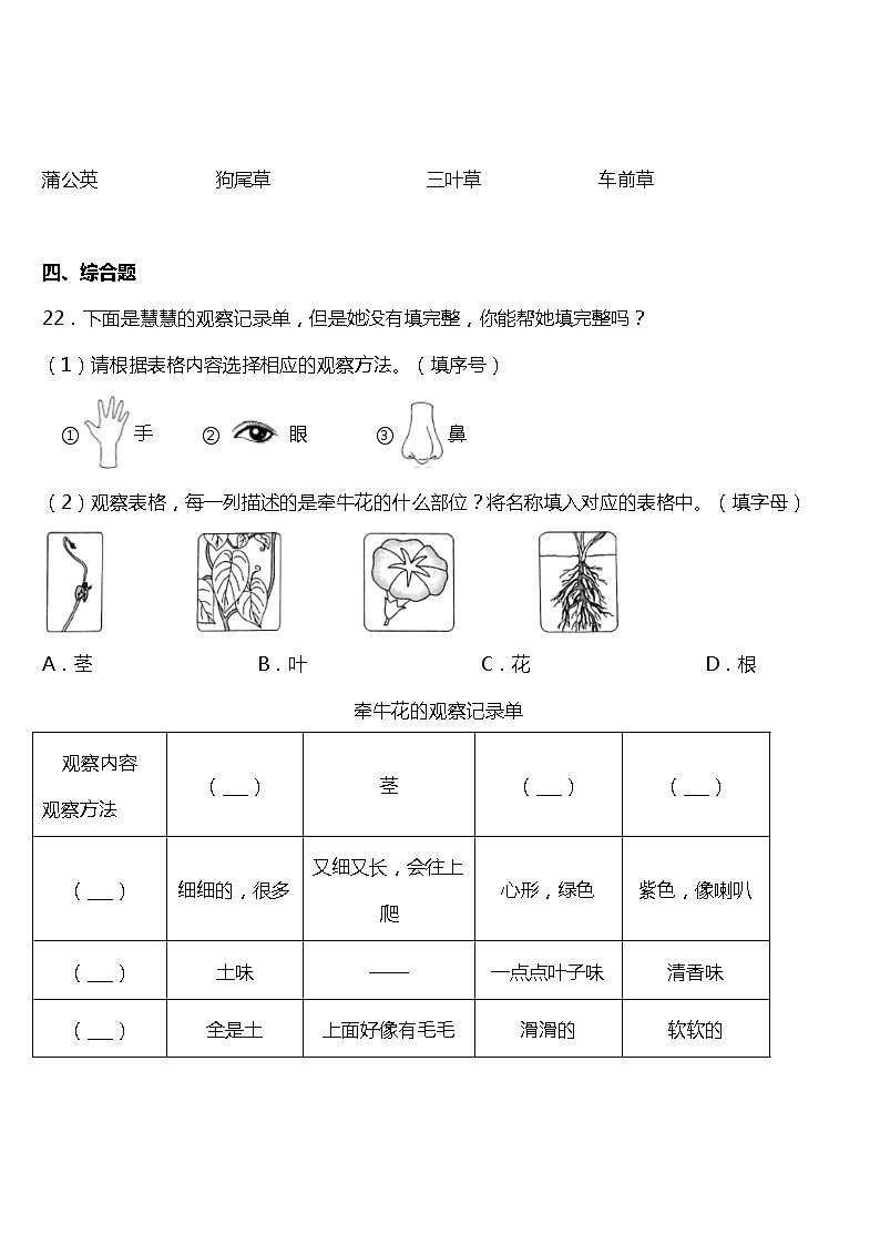 1.6《校园里的植物》同步练习题（含答案）03