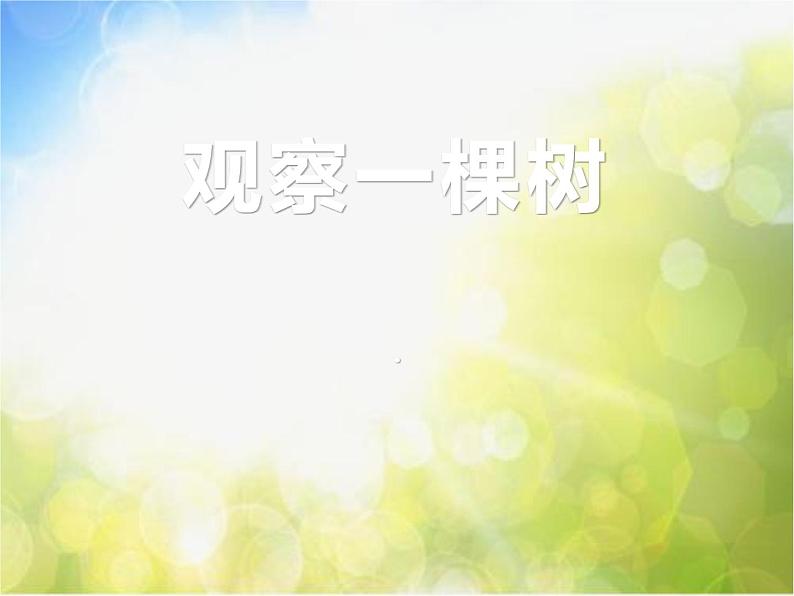 2022鄂教版科学四年级上册第7课《观察一棵树》ppt课件_201