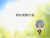 2022鄂教版科学四年级上册第7课《观察一棵树》ppt课件_2