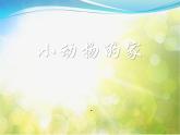 2022鄂教版科学四年级上册第8课《小动物的家》ppt课件_1
