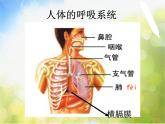 2022鄂教版科学四年级上册第19课《运动与呼吸》ppt课件