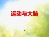 2022鄂教版科学四年级上册第21课《运动与大脑》ppt课件