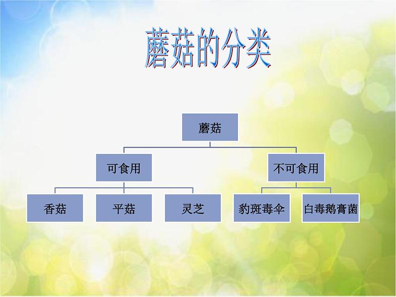 2022鄂教版科学五年级上册第4课《蘑菇》ppt课件02