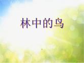 2022鄂教版科学五年级上册第5课《林中的鸟》ppt课件_1