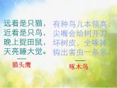 2022鄂教版科学五年级上册第5课《林中的鸟》ppt课件_1