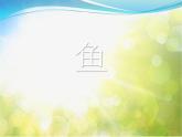 2022鄂教版科学五年级上册第8课《鱼》ppt课件