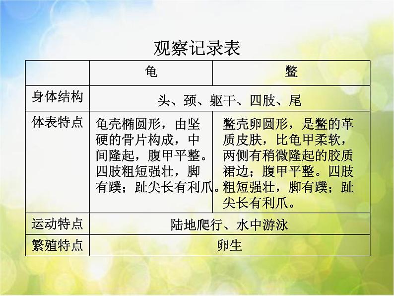 2022鄂教版科学五年级上册第10课《龟和鳖》ppt课件_1第4页