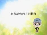 2022鄂教版科学五年级上册第10课《龟和鳖》ppt课件_1