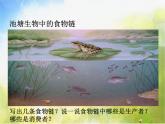 2022鄂教版科学五年级上册第12课《池塘生物的相互联系》ppt课件