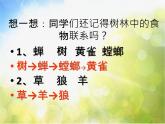 2022鄂教版科学五年级上册第12课《池塘生物的相互联系》ppt课件_1
