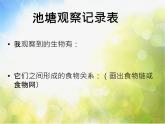 2022鄂教版科学五年级上册第12课《池塘生物的相互联系》ppt课件_1