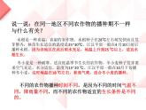 2022鄂教版科学五年级上册第19课《常见的农作物》ppt课件