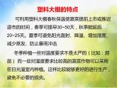 2022鄂教版科学五年级上册第22课《大棚蔬菜》ppt课件_1