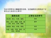 2022鄂教版科学五年级上册第22课《大棚蔬菜》ppt课件