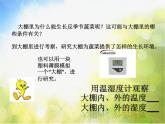 2022鄂教版科学五年级上册第22课《大棚蔬菜》ppt课件
