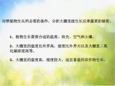 2022鄂教版科学五年级上册第22课《大棚蔬菜》ppt课件