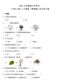 科学一年级上册5.植物是“活”的吗练习题