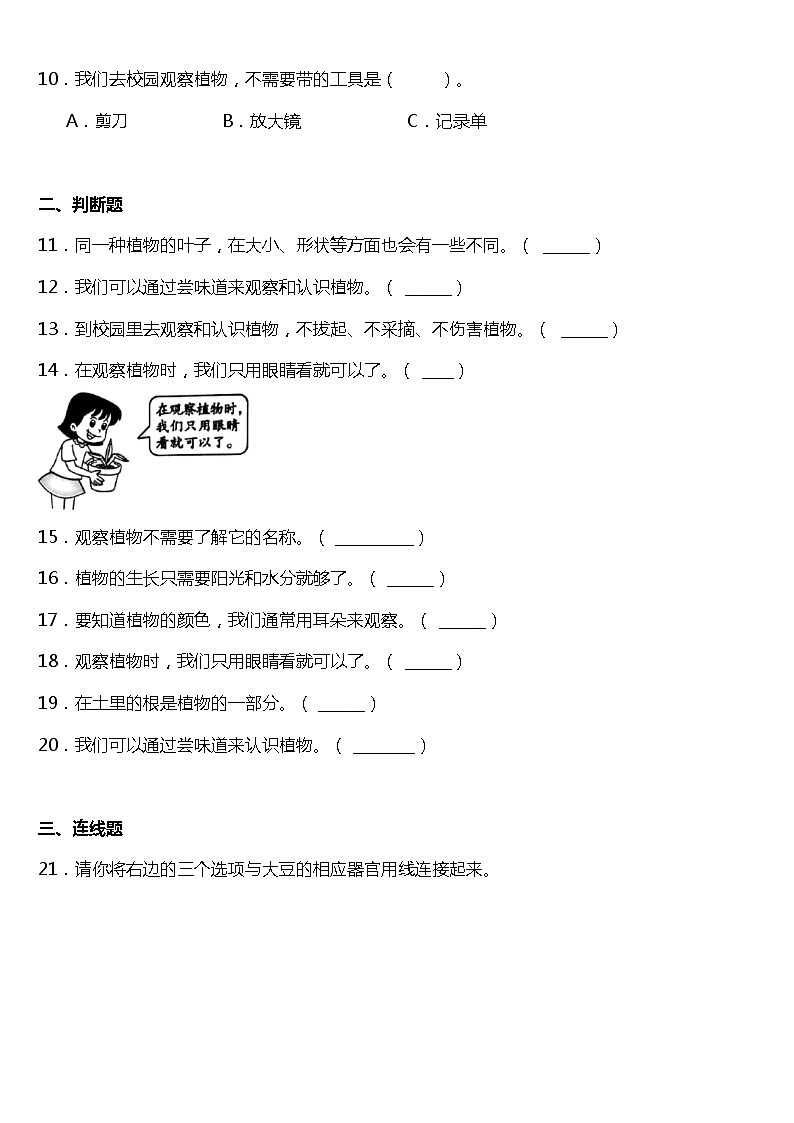 1.2《观察一棵植物》同步练习题（含答案）第2页