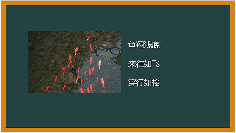 湘科版科学（2017）6.1《大自然的启示》课件05