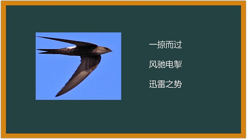 湘科版科学（2017）6.1《大自然的启示》课件07