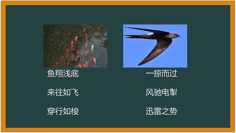 湘科版科学（2017）6.1《大自然的启示》课件08