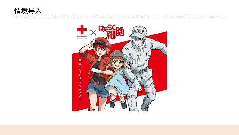 教科版2017科学6上4《观察洋葱表皮细胞》PPT+教案01