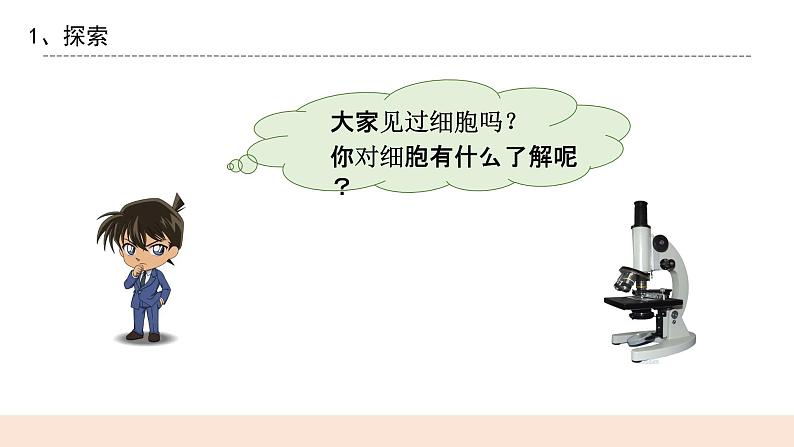教科版2017科学6上4《观察洋葱表皮细胞》PPT+教案04