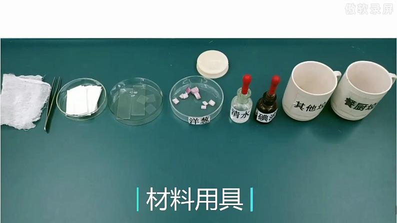 教科版2017科学6上4《观察洋葱表皮细胞》PPT+教案08