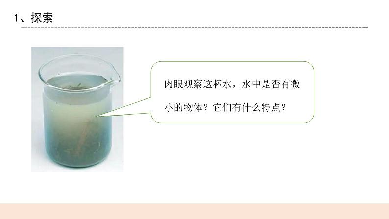 教科版2017科学6上6《观察水中的微小生物》PPT+教案06