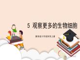 教科版2017科學(xué)6上5《觀察更多的生物細(xì)胞》PPT+教案
