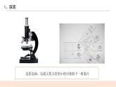 教科版2017科學(xué)6上5《觀察更多的生物細(xì)胞》PPT+教案