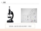 教科版2017科学6上5《观察更多的生物细胞》PPT+教案