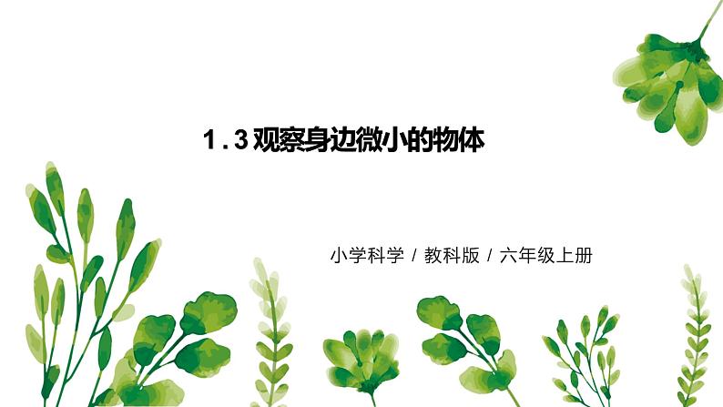教科版（2017）6上科学3《观察身边微小的物体》课件PPT+教案01