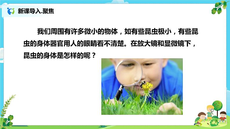 教科版（2017）6上科学3《观察身边微小的物体》课件PPT+教案03