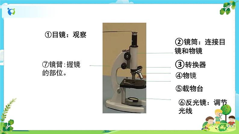 教科版（2017）6上科学3《观察身边微小的物体》课件PPT+教案05