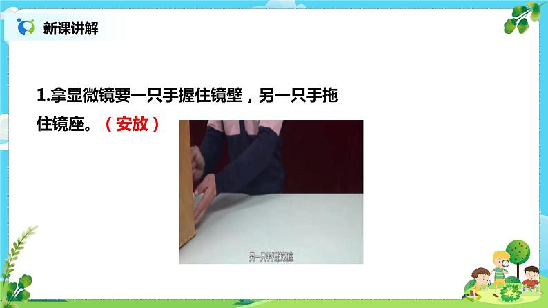 教科版（2017）6上科学3《观察身边微小的物体》课件PPT+教案06