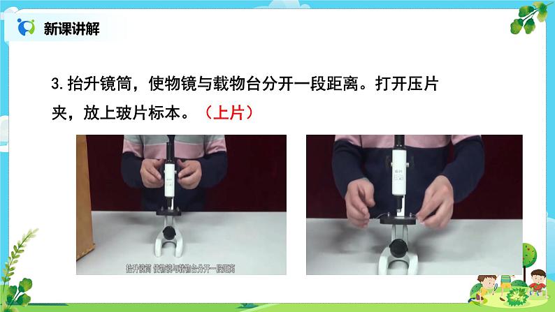 教科版（2017）6上科学3《观察身边微小的物体》课件PPT+教案08