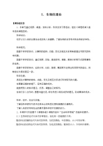 小学科学苏教版 (2017)六年级上册5 生物的遗传优秀教案