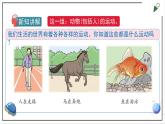 蘇教版四上科學(xué)2.5《運動與位置》PPT課件