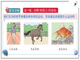 苏教版四上科学2.5《运动与位置》PPT课件