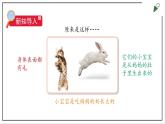蘇教版四上科學(xué)1.4《哺乳類》PPT課件