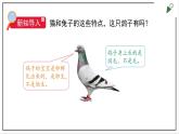 苏教版四上科学1.4《哺乳类》PPT课件