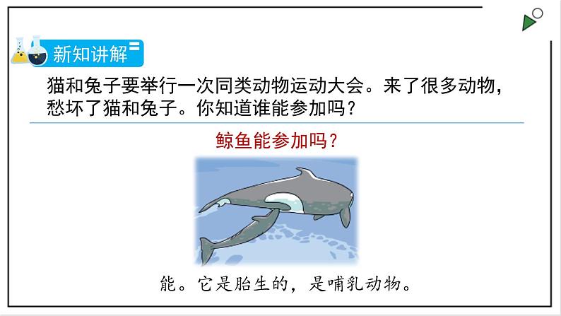 苏教版四上科学1.4《哺乳类》PPT课件第6页